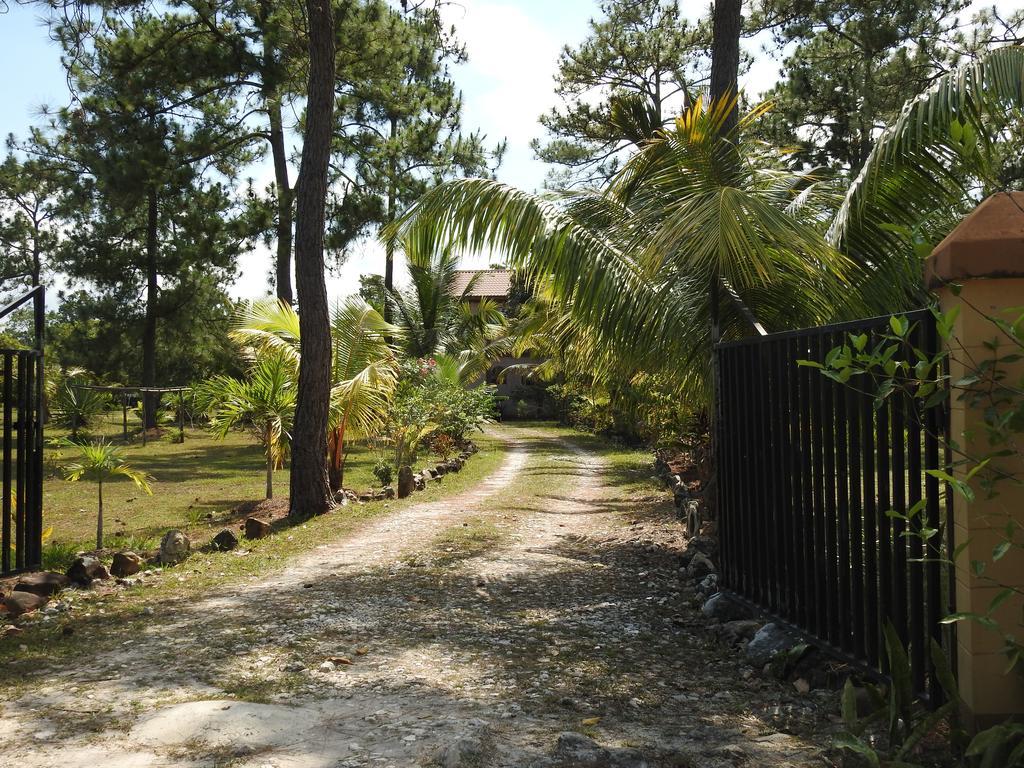 Bed and Breakfast Becks Bed&Breakfast Crooked Tree Exterior foto